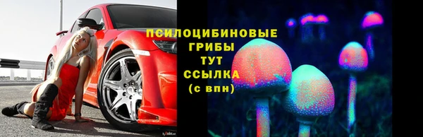 винт Надым