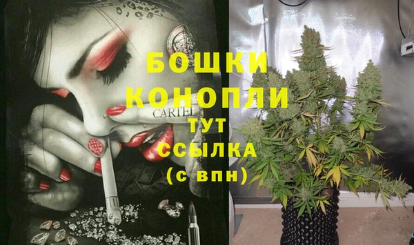 винт Надым