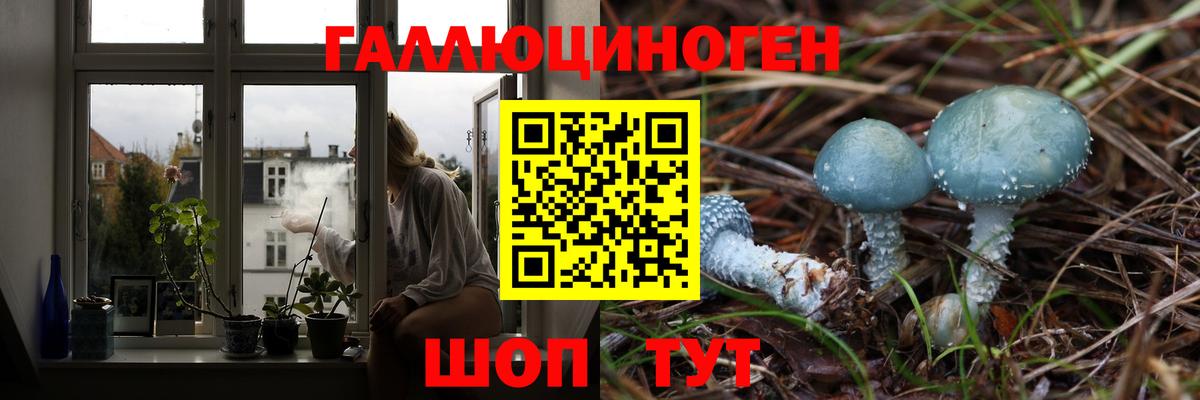 Чусовой  Псилоцибиновые грибы Psilocybine cubensis  Вход с VPN  Псилоцибиновые грибы мухоморы 
